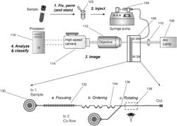 Systems and methods for automated single cell cytological classification in flow