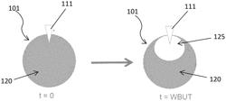 Method for producing silicone hydrogel contact lenses