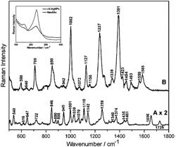 Label-free detection of sialic acid using surface-enhanced Raman scattering microscopy