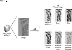 Utilizing artificial intelligence with captured images to detect agricultural failure