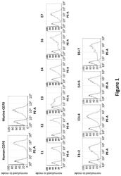 Antibody constructs for CD70 and CD3