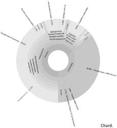 MICROBIAL COMPOSITIONS AND METHODS FOR TREATING TYPE 2 DIABETES, OBESITY, AND METABOLIC SYNDROME