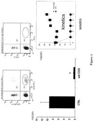 A B Cell Depleting Agent for the Treatment of Atherosclerosis