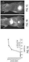 MULTIMODAL SILICA-BASED NANOPARTICLES