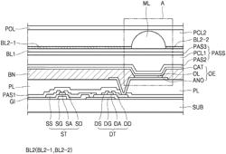 Organic Light Emitting Display Device and Method for Manufacturing the Same