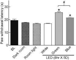 Compositions and methods for treating and preventing chronic pain