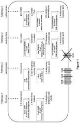 Modified microorganism for the optimized production of 2,4-dihydroxybutyrate with enhanced 2,4-dihydroxybutyrate efflux