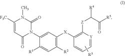 Method for controlling PPO resistant weeds