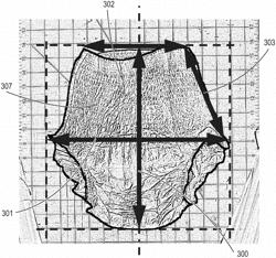 Length-to-waist and hip-to-side silhouettes of adult disposable absorbent articles and arrays