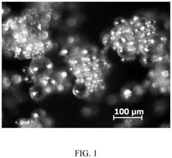 Method of making cementitious compositions