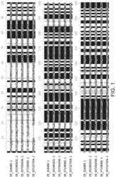 Engineered phenylalanine ammonia lyase polypeptides