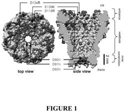 MSP nanopores and related methods