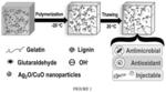 Antioxidant, antibacterial, injectable lignin-gelatin composite cryogels for wound healing and tissue engineering