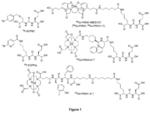 18/19F-labelled compounds which target the prostate specific membrane antigen