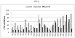 RNA-interference-inducing nucleic acid molecule able to penetrate into cells, and use therefor