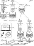 Devices, systems and methods for detecting viable infectious agents in a fluid sample