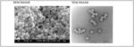 CORE/SHELL TYPE POLYMER MICROPARTICLES, DISPERSION OF PARTICLES, AND METHOD FOR PRODUCING SAID MICROPARTICLES