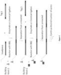 METHODS FOR TAGGING DNA-ENCODED LIBRARIES