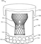 Packaging for dry tissue prosthetic heart valve