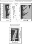 Low-frequency DAS SNR improvement