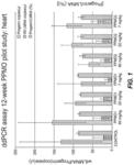 OLIGONUCLEOTIDE ANALOGUES TARGETING HUMAN LMNA