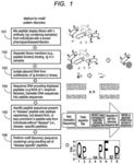 METHODS AND COMPOSITIONS FOR ASSESSING ANTIBODY SPECIFICITIES