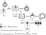 UNMASKING ENDOTOXINS IN SOLUTION