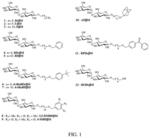 SYNTHETIC DISUGAR HYDROCARBONS AS NATURAL ANALOGS TO CONTROL MICROBIAL BEHAVIORS