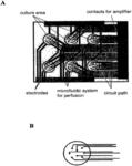 NON-INVASIVE, IN VITRO FUNCTIONAL TISSUE ASSAY SYSTEMS