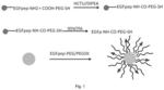 Targeted nanoparticle conjugates