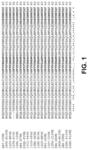 Anti-CD3 antibodies, anti-CD123 antibodies and bispecific antibodies specifically binding to CD3 and/or CD123