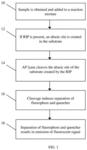 Methods and systems for the detection of ricin and other ribosome inactivating proteins