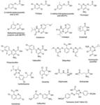 Compositions to Control the Release Rates of Chemical Pesticides