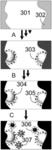 Solid Phase Microextraction Membranes Impregnated with Gold Nanoparticles: Creation of Novel SERS-Enhancing Substrates