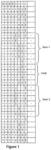 Nucleic acid comprising or coding for a histone stem-loop and a poly(A) sequence or a polyadenylation signal for increasing the expression of an encoded pathogenic antigen