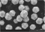 Method for synthesis of copper/copper oxide nanocrystals