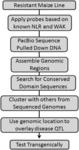 METHODS OF IDENTIFYING, SELECTING, AND PRODUCING DISEASE RESISTANT CROPS