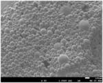 MICROENCAPSULATION OF BACTERIOPHAGES AND RELATED PRODUCTS