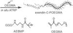 SURFACES HAVING REDUCED NON-SPECIFIC BINDING AND ANTIGENICITY