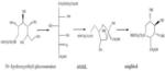 Method For Promoting Synthesis Of Sorbitol Dehydrogenase And Coenzyme Pyrroloquinoline Quinone From Gluconobacter Oxydans