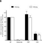 METHODS FOR TREATING HEPATITIS B VIRUS (HBV) INFECTION