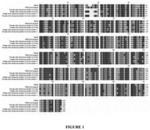 TOBACCO HAVING ALTERED LEAF PROPERTIES AND METHODS OF MAKING AND USING