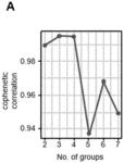 MOLECULAR SUBTYPING OF SMALL CELL LUNG CANCER TO PREDICT THERAPEUTIC RESPONSES