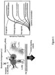 SUPERAGONISTS, PARTIAL AGONISTS AND ANTAGONISTS OF INTERLEUKIN-2