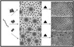 Tunable nanomaterials by templating from kinetically trapped polymer micelles