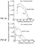 Nucleic acid modifying enzymes