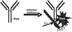 Reagents for direct biomarker signal amplification