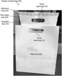 Tamper-Evident Bag Seal and Tamper-Evident Bags and Methods