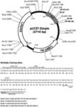 APPLICATION OF PLANT AS HOST IN EXPRESSING PD-1 ANTIBODY AND/OR PD-L1 ANTIBODY