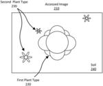 PLANT IDENTIFICATION IN THE PRESENCE OF AIRBORNE PARTICULATES